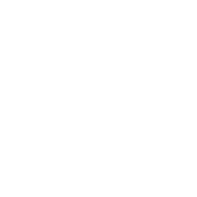 Palmetto Ear, Nose & Throat PA